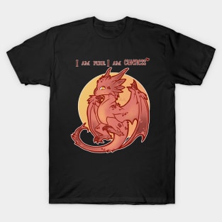 I am fire, I am cuteness T-Shirt